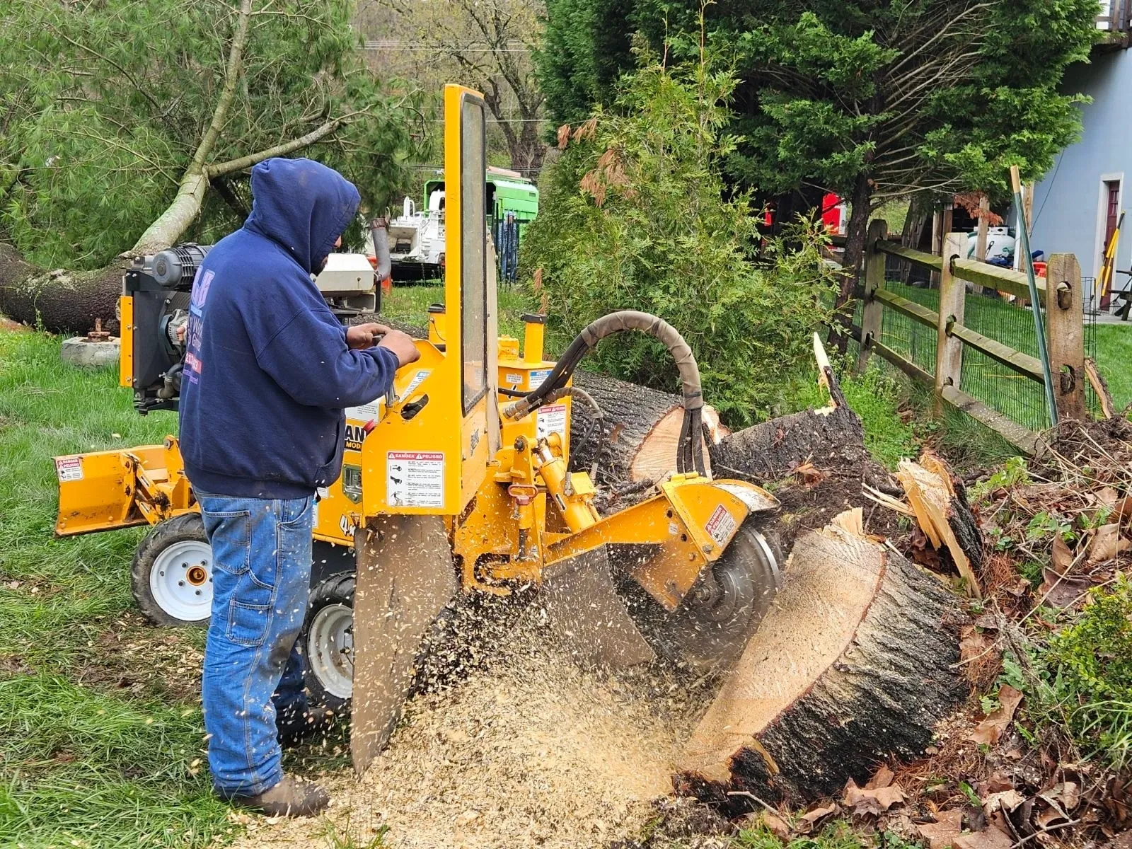 Tarzan Tree Service