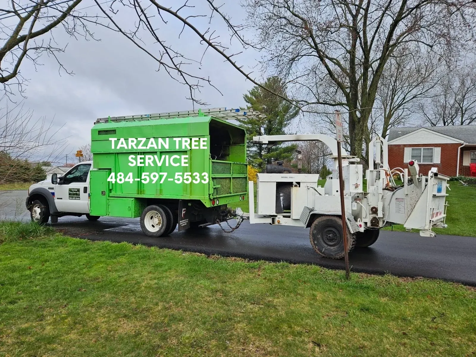 Tarzan Tree Service